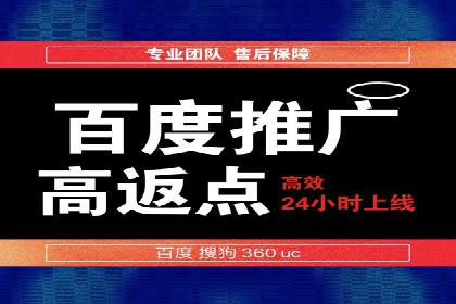 百度竞价运营的挑战与机遇：成功案例探讨